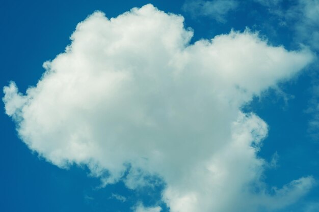 El fondo del cielo azul con nubes tonifica la imagen