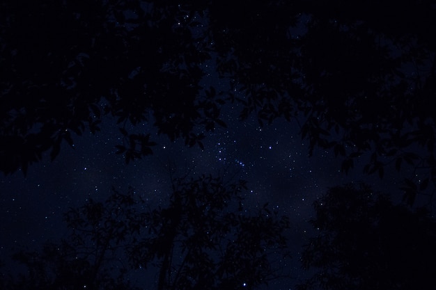 Fondo de cielo y estrellas en la noche