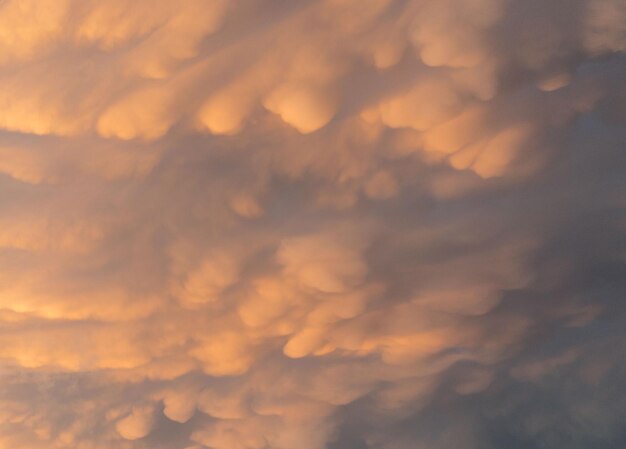 El fondo del cielo natural con nubes de mamut