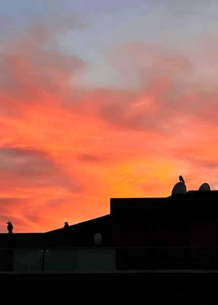 Fondo de cielo de puesta de sol rojo y naranja dramático con la sombra de un techo de un edificio de apartamentos con cuervos