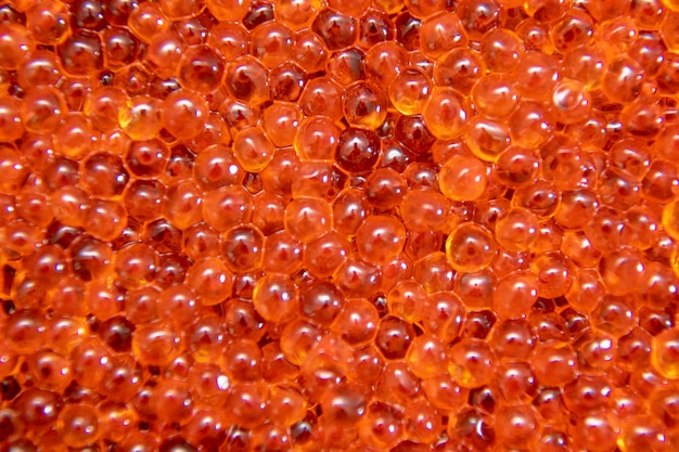 Fondo de cierre de caviar rojo