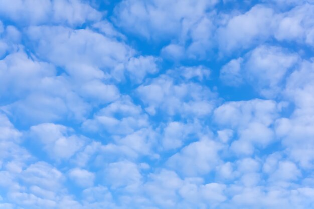 Fondo, cloudscape - cielo azul con nubes cirrocúmulos