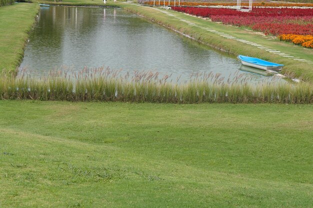 Fondo de colina de hierba verde en el jardín