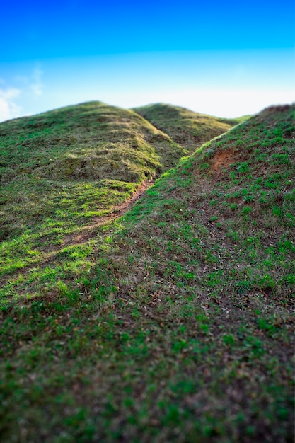 Fondo de colinas verdes de paisaje vertical hd