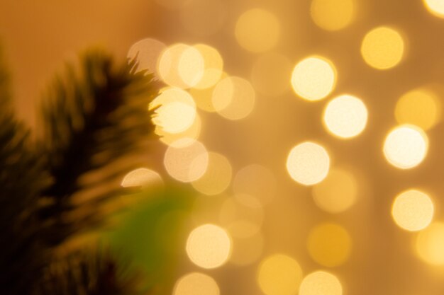 Foto fondo de color cálido fondo bokeh con pinos para decoraciones navideñas