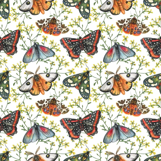 Fondo colorido brillante con flores y mariposas Patrón de acuarela transparente con mariposa