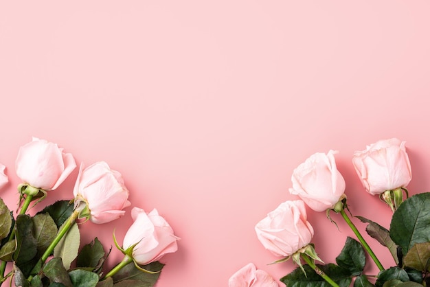 Fondo de concepto de diseño de San Valentín con flor rosa rosa sobre fondo de mesa rosa