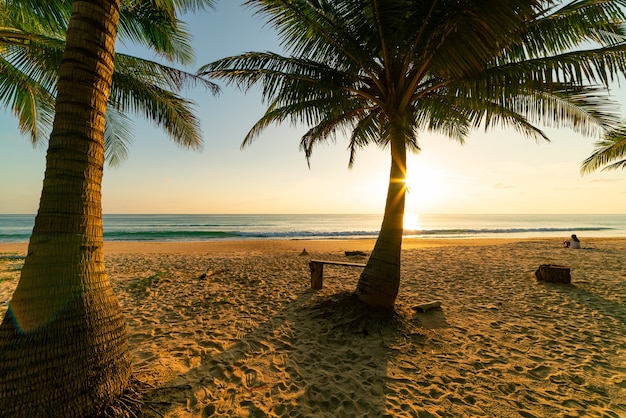 Fondo de concepto de vacaciones de otoño de playa Marco de naturaleza con palmeras de coco en la playa con destello de luz de sol fondo de paisaje hermoso atardecer o amanecer.