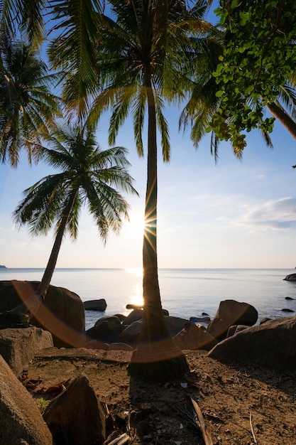 Fondo de concepto de vacaciones de verano en el mar Marco de naturaleza con palmeras de coco en la orilla del mar con destello de luz solar hermosa puesta de sol o fondo de paisaje de amanecer