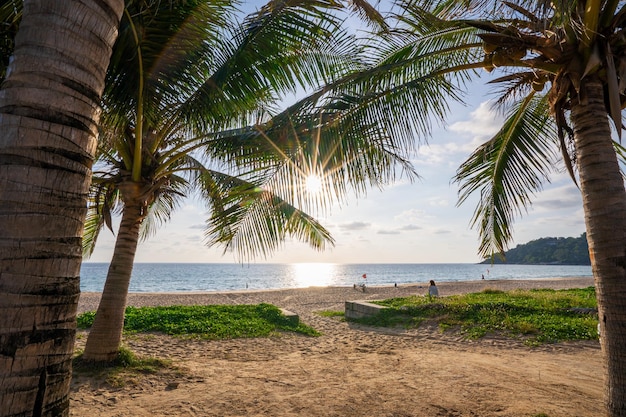 Fondo de concepto de vacaciones de verano en la playa Marco de naturaleza con palmeras de coco en la playa con destellos de luz solar hermosa puesta de sol o fondo de paisaje de amanecer