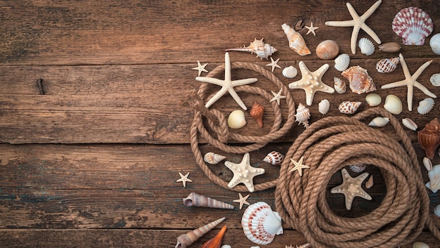 Fondo con conchas, estrellas de mar y cuerda sobre un fondo de madera marrón.