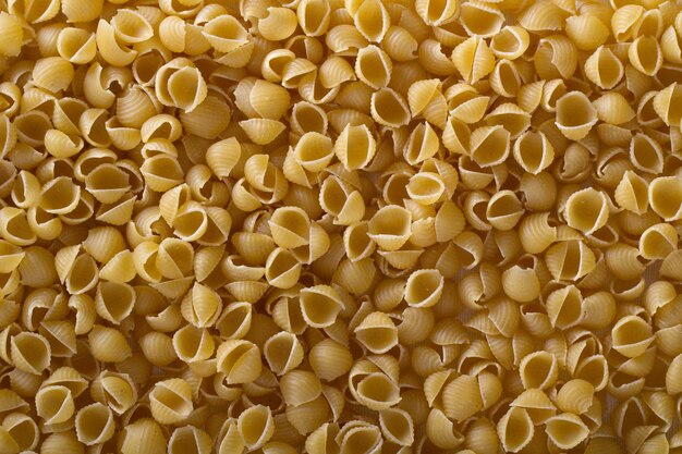 Foto fondo de las conchas de pasta