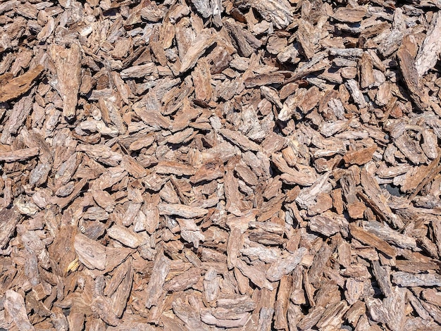 Fondo de corteza de madera marrón seca dispersa