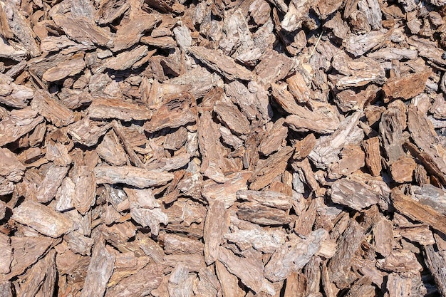 Fondo de corteza de madera marrón seca dispersa