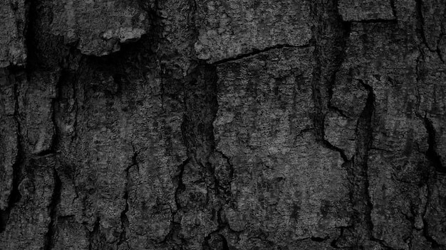 Foto fondo de corteza negra naturalmente hermosa textura de corteza vieja