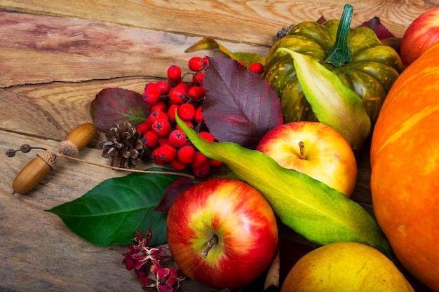 Fondo de cosecha con manzanas, bayas de serbal, calabaza verde