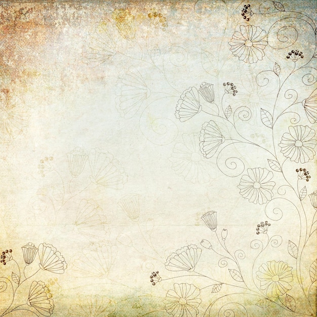 Fondo de la cosecha
