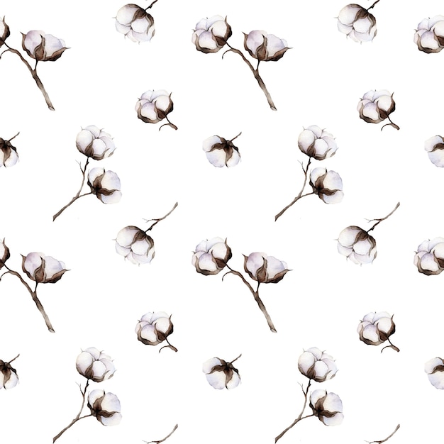 Fondo sin costuras con decoración de estampado de flores secas de rama de algodón acuarela Hermoso patrón