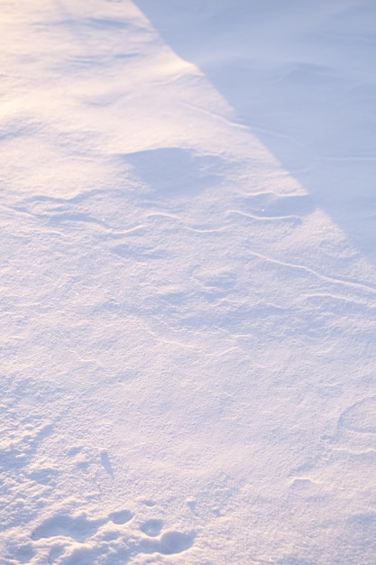 Fondo cubierto de nieve a la luz del atardecer