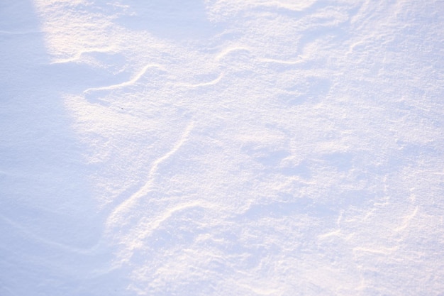 Fondo cubierto de nieve a la luz del atardecer