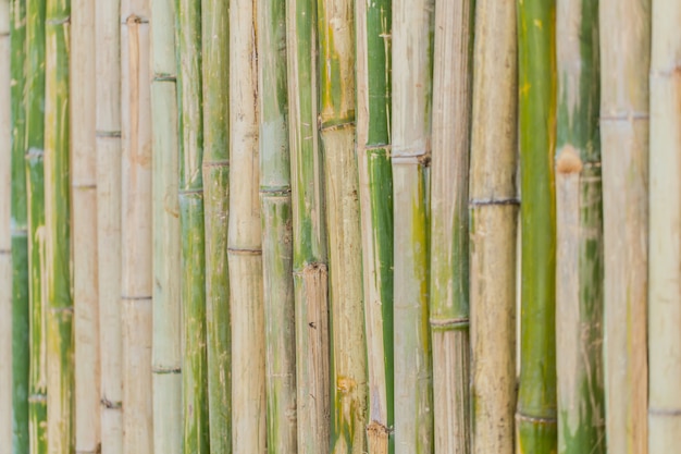 Fondo de decoración de valla de madera de bambú