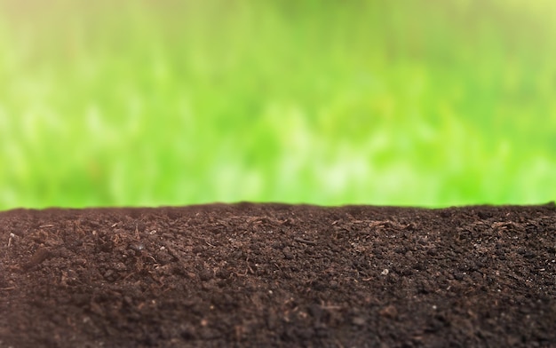 Fondo de desenfoque natural del suelo y jardín verde con área de enfoque