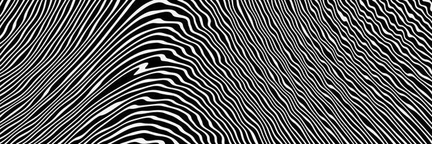 Fondo despojado blanco y negro abstracto.