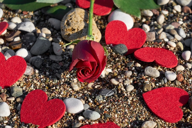 Fondo del dia de san valentin