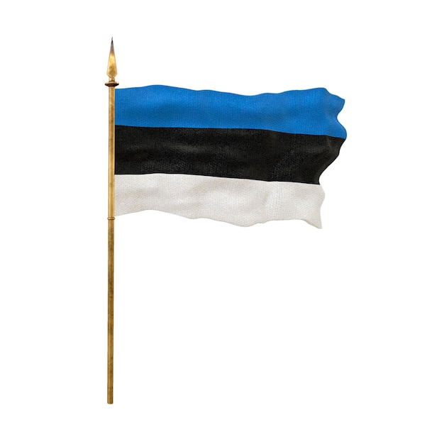 Fondo para diseñadores Día Nacional Bandera nacional de Estonia