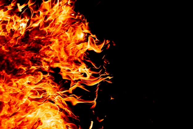 Fondo para diseñadores Fuego de leña sobre fondo negro Fuego sobre fondo oscuro Fuego de cerca