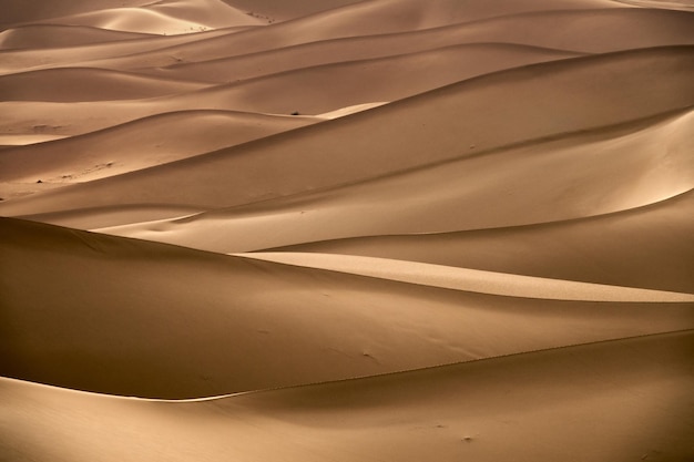 Fondo con dunas de arena en el desierto