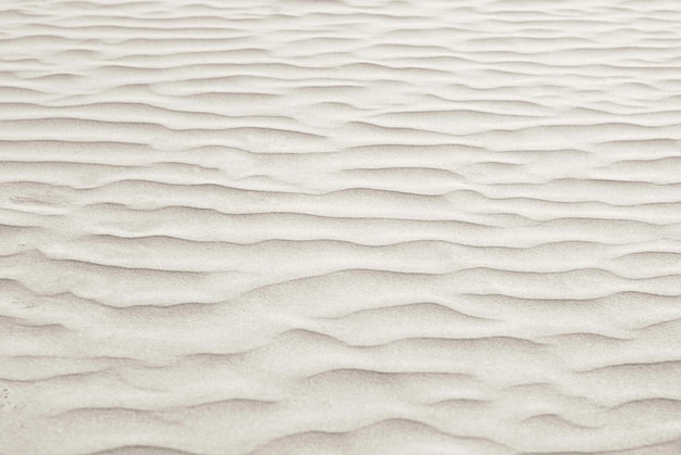 Fondo - dunas del desierto de cerca, ondas en la superficie de la arena