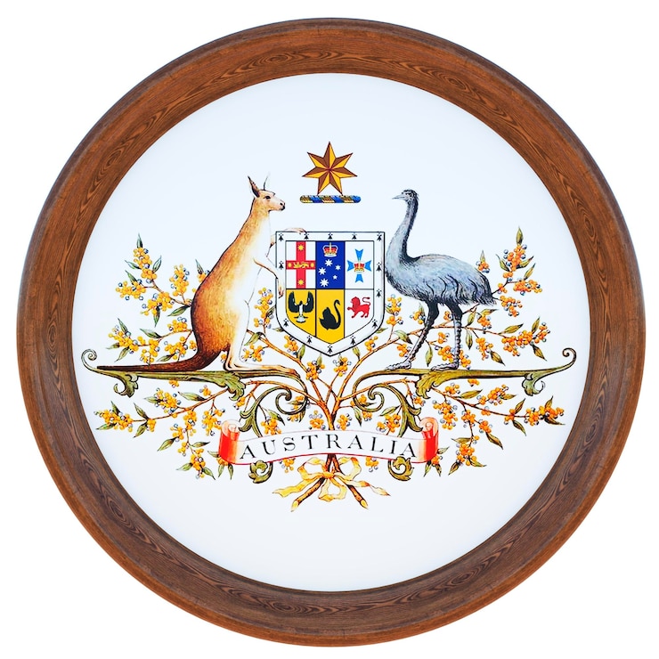 Foto fondo para editores y diseñadores fiesta nacional ilustración 3d escudo nacional australia