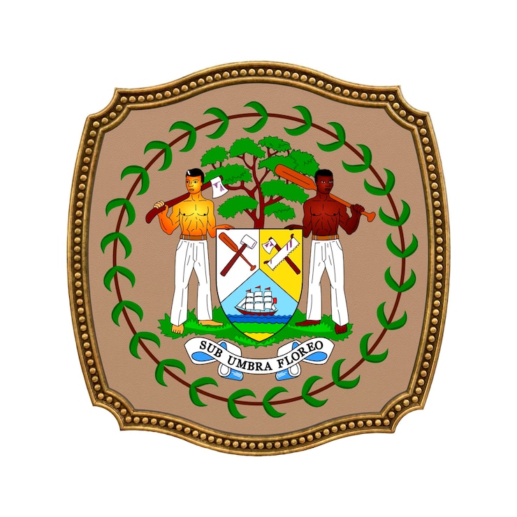 Foto fondo para editores y diseñadores fiesta nacional ilustración 3d icono escudo de armas de belice