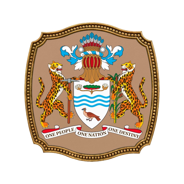 Foto fondo para editores y diseñadores fiesta nacional ilustración 3d icono escudo de armas de guyana