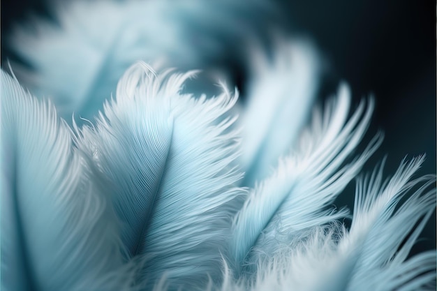 Fondo de enfoque suave de plumas de pájaro en tono azul