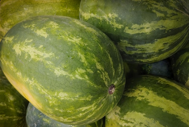 Fondo de escaparate de sandías verdes rayadas en la tienda