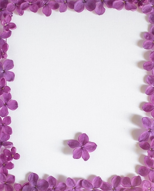 Foto fondo con espacio de copia en blanco en la mesa con flor lila violeta. flores violetas. vista superior de papel blanco, endecha plana, estilo minimalista. moke hasta la tarjeta.