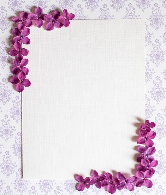 Fondo con espacio de copia en blanco en la mesa con flor lila violeta. Flores violetas. Vista superior de papel blanco, endecha plana, estilo minimalista. Moke hasta la tarjeta.