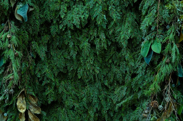 Fondo estampado cubierto con hojas de pino para un fondo de Navidad