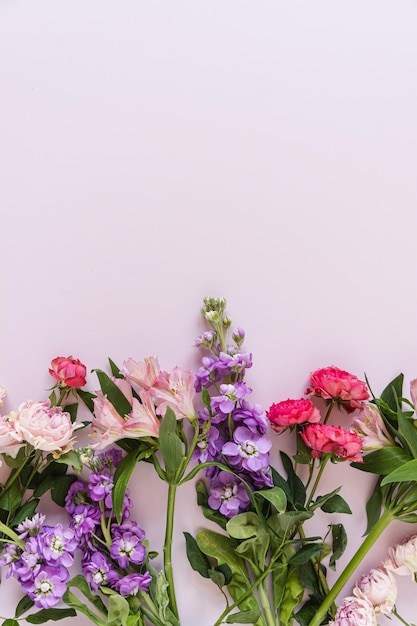 Fondo estético con coloridas flores rosas rojas y rosadas sobre fondo rosa Hermosa composición floral