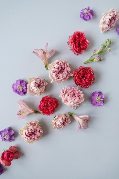 Fondo estético con coloridas flores rosas sobre fondo azul Hermosa composición floral