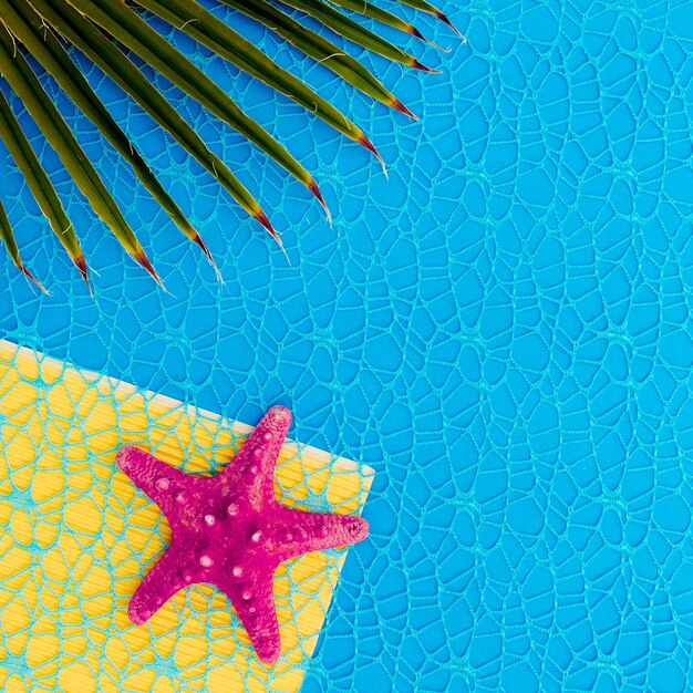 Foto fondo de estrellas de mar y palmeras. arte de moda minimalista