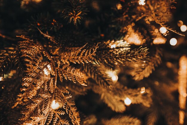 Fondo festivo con hermosas luces doradas bokeh árbol de Navidad ramas de abeto invierno año nuevo