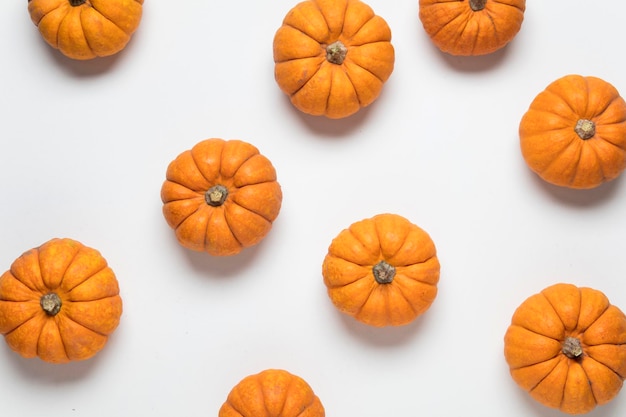 Fondo festivo mini calabaza munchkin