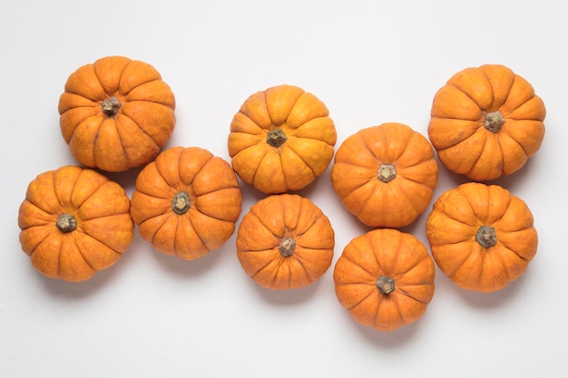 Fondo festivo mini calabaza munchkin