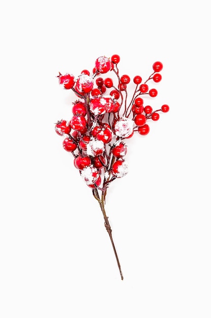 Fondo festivo de Navidad o año nuevo con bayas de plantas de acebo rojo.