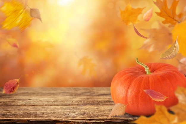 Fondo festivo de otoño con calabaza y hojas caídas espacio de copia Halloween y día de Acción de Gracias