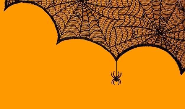 Foto fondo de fiesta de halloween tela de araña en naranja con una araña