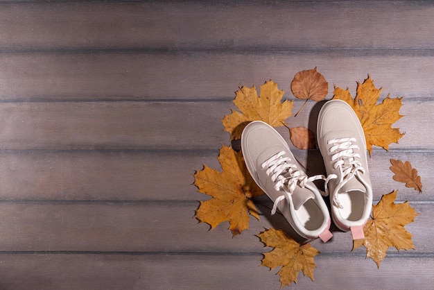 Fondo de fitness deportivo de otoño Concepto de entrenamientos de otoño al aire libre Correr zapatillas de deporte con mancuernas discos de barra saltar la cuerda botella de agua fondo de madera con hojas de otoño calabazas vista superior espacio de copia